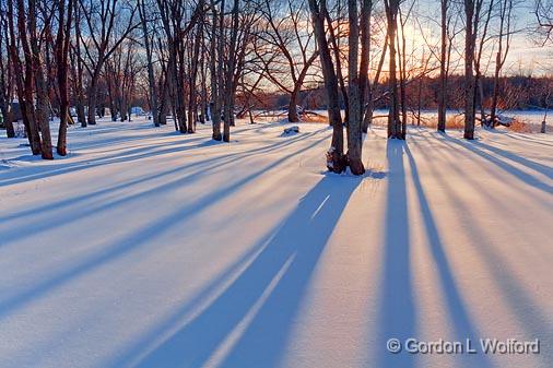 Tranquil Snow_11597.jpg - Photographed at Tranquil Acres near Carleton Place, Ontario, Canada.